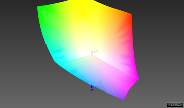 Copertura spazio colore (sRGB) - 100%