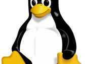 Grazie a Steam, Proton GE e Valve, giocare su Linux è molto più facile di quanto si possa pensare. (Fonte: Wikipedia)