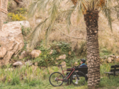 Decathlon ha lanciato una versione più economica della sua e-bike Van Rysel E-EDR AF (fonte: Decathlon)