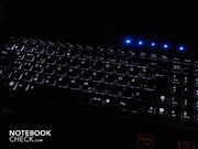 La tastiera ha un'illuminazione bianca L'intensità può essere controllata