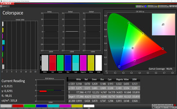 CalMAN: Copertura colore – spazio colore target DCI P3, impostazione colore personalizzata