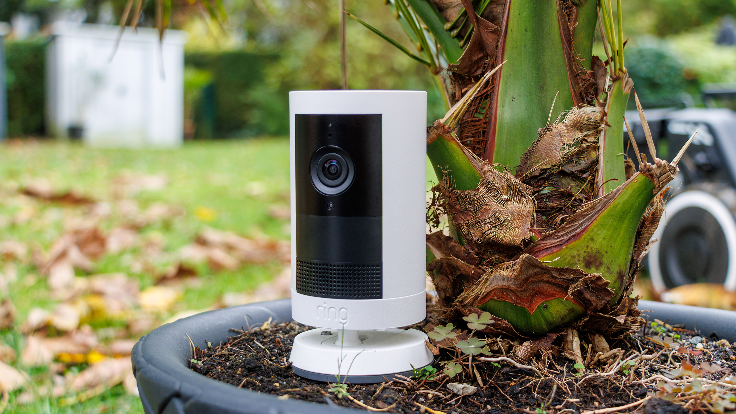 (Fonte: Daniel Schmidt)