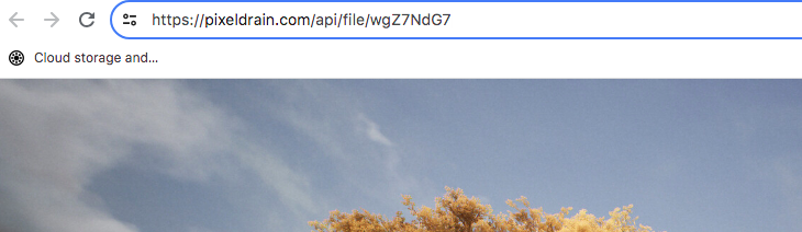 Il modo più semplice per iniziare ad usare PixelDrain è caricare i file su I miei file. Come risultato otterrà un link come quello raffigurato qui sopra. Anche se non si tratta di un vero e proprio hotlinking, è comunque meglio di quello che offre la maggior parte delle piattaforme concorrenti (Fonte: Notebookcheck)