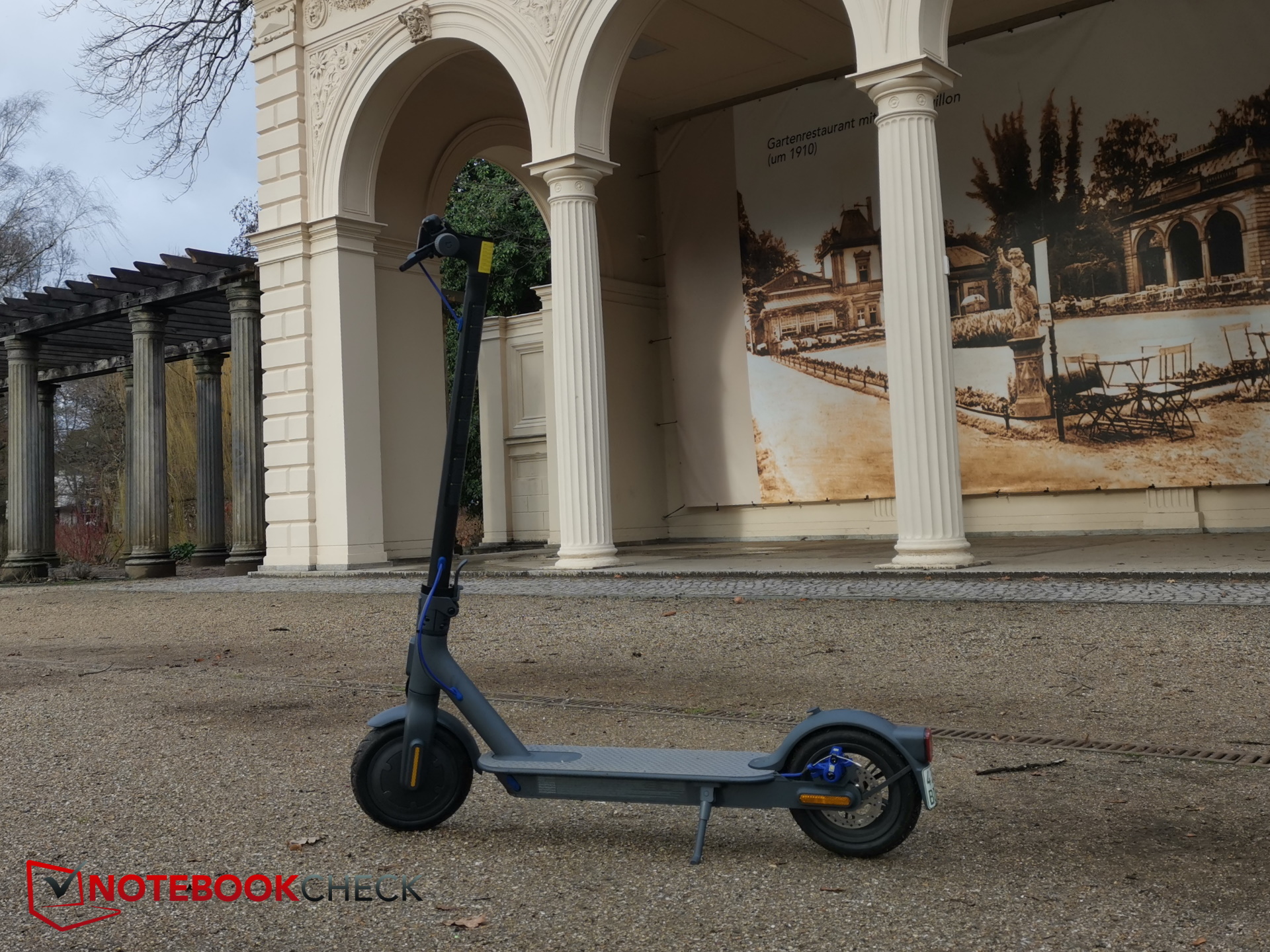 Sperli 81723 Semi Di Carota Bio 'Orsetto Invernale' - Varietà Tardiva Ideale Per La Conservazione, Lunga Durata, Seme Per 6 Metri - 2