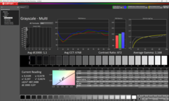 Calibrato in scala di grigi