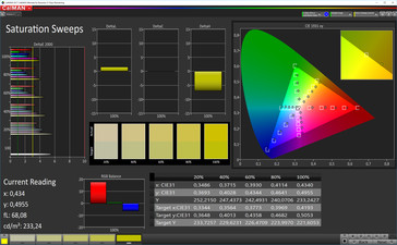 CalMAN: Saturazione del colore - Modalità colore normale, spazio colore target sRGB