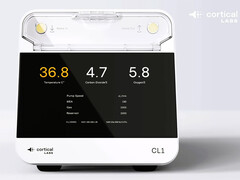 Il computer Cortical Labs CL1 funziona con cellule cerebrali umane.