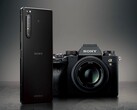 Sony ha iniziato a rilasciare Android 12 per l'Xperia 1 II e Xperia Pro negli Stati Uniti. (Fonte immagine: Sony)