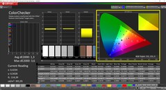 CalMAN ColorChecker calibrato