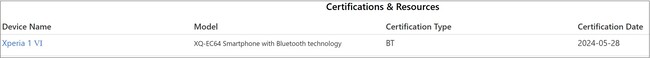 Record per la versione statunitense dell'Xperia 1 VI. (Fonte: device.report)