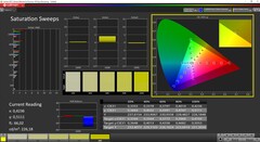 Saturazione CalMAN calibrata (spazio colore target sRGB)