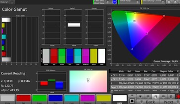 CalMAN: Spzio colore - contrasto standard, gamma colore target sRGB