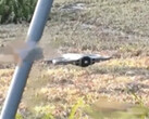 Uno sguardo al presunto DJI Avata 360. (Fonte immagine: via Mauro Tandoi)
