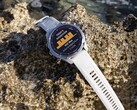 È arrivato il software di sistema 22.07 per i computer subacquei Descent Mk3 e Mk3i (nella foto). (Fonte: Garmin)