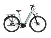 La e-bike Velo de Ville 2024 AEB 990 può essere personalizzata in molti modi. (Fonte: Velo de Ville)