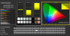 CalMAN - Color Checker (calibrato)