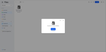 Le dimensioni dei file sono ora visibili, ma solo per i singoli file