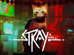 Stray, un nuovo titolo, sarà incluso nell'aggiornamento di luglio per PlayStation Plus. (Fonte: PlayStation)