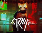 Stray, un nuovo titolo, sarà incluso nell'aggiornamento di luglio per PlayStation Plus. (Fonte: PlayStation)