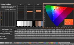 CalMAN: ColorChecker (calibrato)