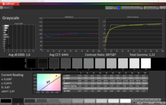 Scala di grigi CalMAN