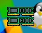 È stato effettuato un confronto tra Windows 11 e Linux in merito all’utilizzo della RAM.