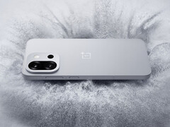 Il design posteriore del OnePlus 13T potrebbe costituire la base di ciò che arriverà con il OnePlus 15 di quest'anno. (Fonte: OnePlus)