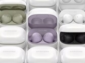 Il Galaxy Buds 2 sarà disponibile in quattro colori. (Fonte: WalkingCat)