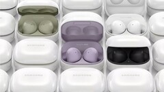 Il Galaxy Buds 2 sarà disponibile in quattro colori. (Fonte: WalkingCat)