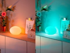Philips Hue dovrebbe rilasciare una versione aggiornata della lampada da tavolo Flourish (nella foto) nel prossimo futuro. (Fonte: Philips Hue)