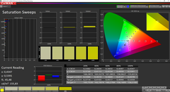 CalMAN Saturation Sweeps calibrato (spazio colore target P3)