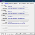 CPU-Z Cache (AMD)