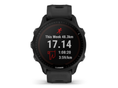 I modelli Garmin Forerunner 955 e Forerunner 255 sono ora inclusi nel programma Beta. (Fonte: Garmin)