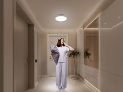 La plafoniera intelligente D20 di Xiaomi. (Fonte: Xiaomi)