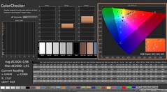 CalMAN: ColorChecker (calibrato)