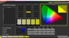 CalMAN Saturazione calibrata (spazio colore target AdobeRGB)