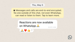 Le reazioni arrivano su WhatsApp. (Fonte: WhatsApp)