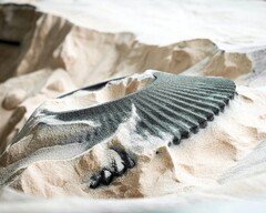 Una parte di auto stampata dalla sabbia utilizzando il binder jetting (Fonte: ExOne)