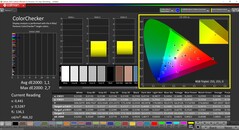 CalMAN ColorChecker calibrato (spazio colore target: P3)