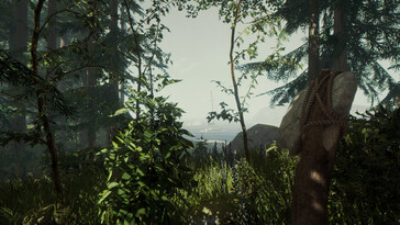 Un'immagine che raffigura un paesaggio e una barca in *The Forest*.