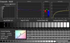 CalMAN: Scala di grigi (calibrato)