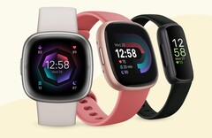 Google ha iniziato a snellire l&#039;app Fitbit con l&#039;obiettivo di aggiungere altre funzioni in un secondo momento. (Fonte: Fitbit)