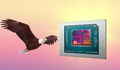 AMD Bald Eagle Point, se non verrà rottamato, potrebbe essere rilasciato l'anno prossimo. (Fonte immagine: AMD, FlashBuddy, modificato)