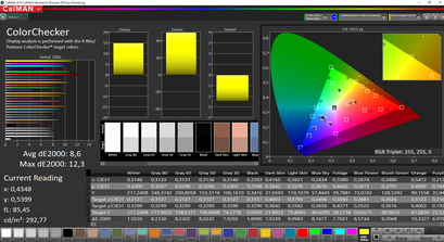 CalMAN ColorChecker (spazio colore target sRGB)