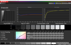 Scala di grigi CalMAN