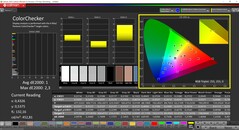CalMAN ColorChecker (profilo: P3, spazio colore di destinazione: P3)