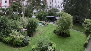 Dettagli di alberi e arbusti fangosi - ingrandimento 4x