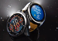 Come il precedente Fenix 8, si prevede che il Garmin Fenix 9 sarà disponibile con display AMOLED o MiP.