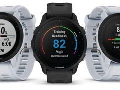 Garmin sta distribuendo la versione beta 15.12 per gli smartwatch Forerunner 955 e 255. (Fonte: Garmin)