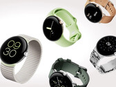 Il Pixel Watch ha ottenuto un'altra funzione precedentemente esclusiva di Fitbit. (Fonte: Google)